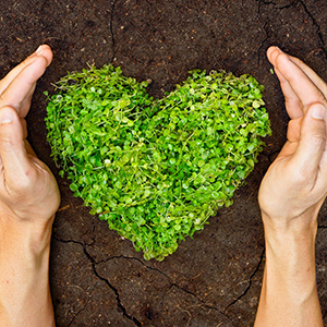 A patch of green grass shaped like heart on the ground and one hand on either side of the heart protecting it from external forces.