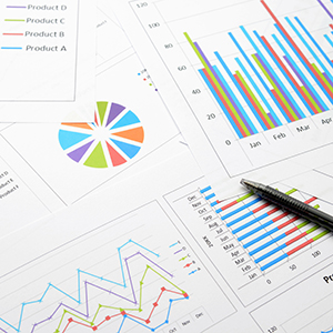 Pie, bar and line graphs indicating the success and growth of the business over the last couple of years.